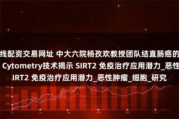 在线配资交易网址 中大六院杨孜欢教授团队结直肠癌的新靶标发现Tissue Cytometry技术揭示 SIRT2 免疫治疗应用潜力_恶性肿瘤_细胞_研究