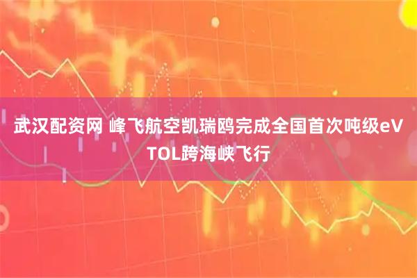 武汉配资网 峰飞航空凯瑞鸥完成全国首次吨级eVTOL跨海峡飞行